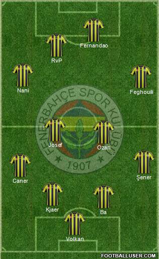 Fenerbahçe SK Formation 2015