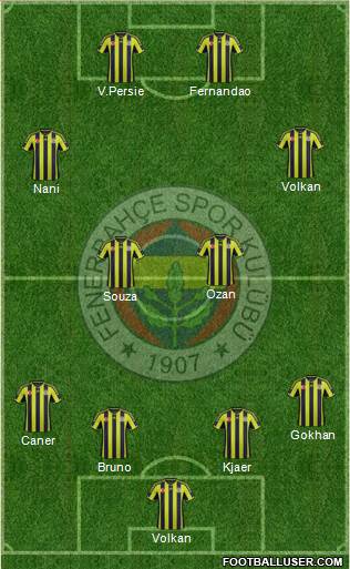 Fenerbahçe SK Formation 2015