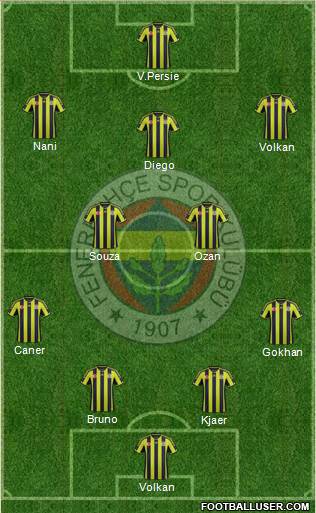 Fenerbahçe SK Formation 2015