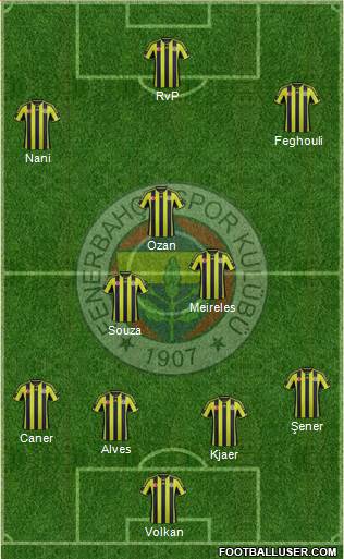 Fenerbahçe SK Formation 2015