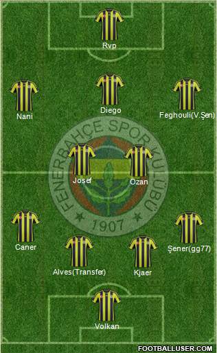 Fenerbahçe SK Formation 2015