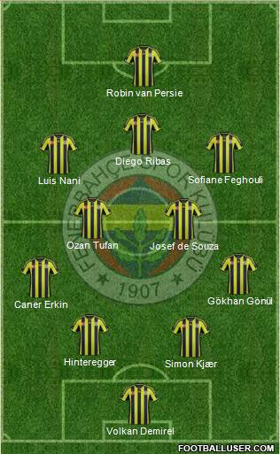 Fenerbahçe SK Formation 2015