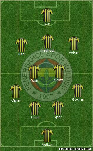 Fenerbahçe SK Formation 2015