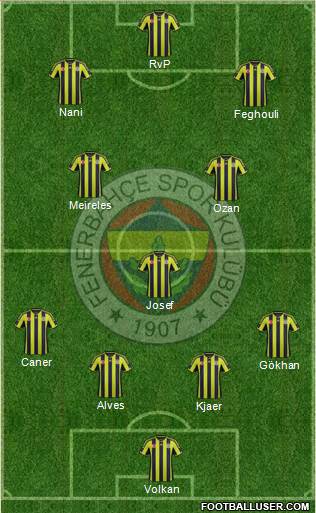 Fenerbahçe SK Formation 2015