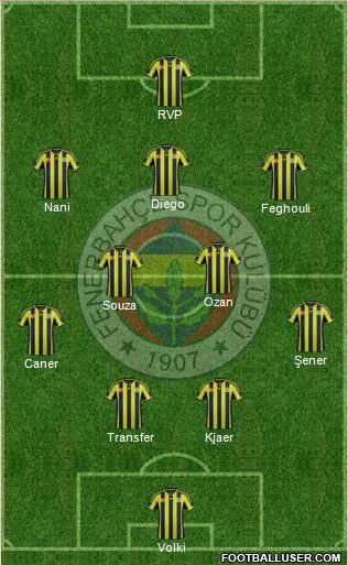 Fenerbahçe SK Formation 2015