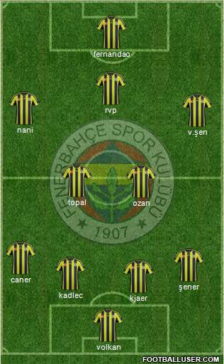 Fenerbahçe SK Formation 2015