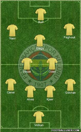 Fenerbahçe SK Formation 2015
