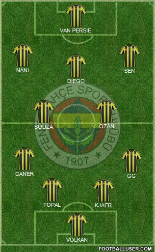 Fenerbahçe SK Formation 2015