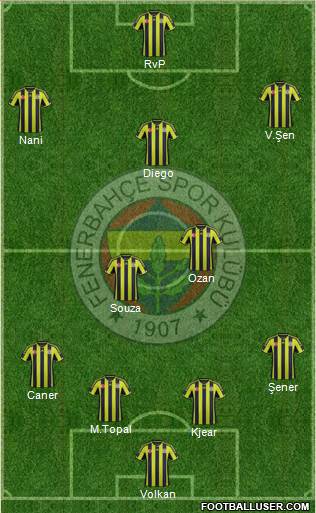 Fenerbahçe SK Formation 2015