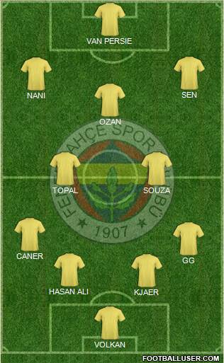 Fenerbahçe SK Formation 2015