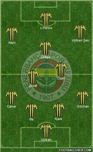 Fenerbahçe SK Formation 2015