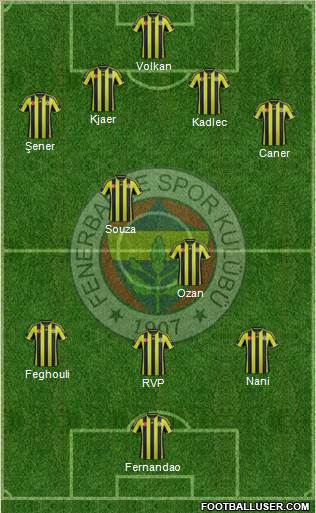 Fenerbahçe SK Formation 2015
