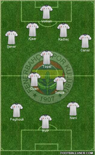 Fenerbahçe SK Formation 2015
