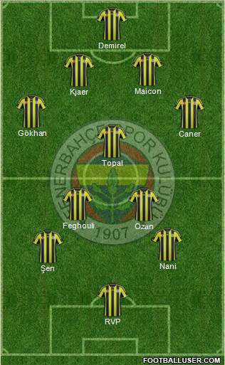 Fenerbahçe SK Formation 2015