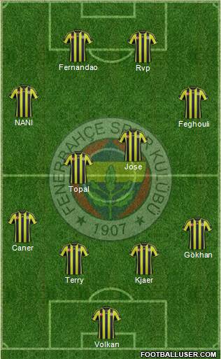 Fenerbahçe SK Formation 2015