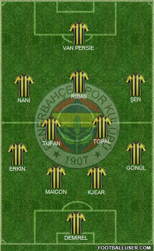 Fenerbahçe SK Formation 2015