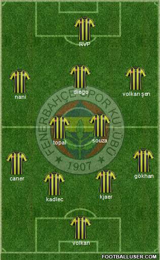 Fenerbahçe SK Formation 2015