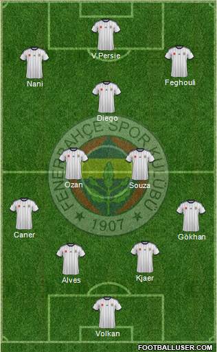 Fenerbahçe SK Formation 2015