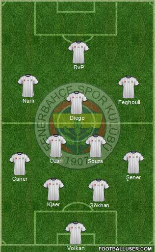 Fenerbahçe SK Formation 2015