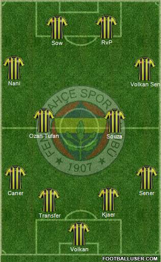 Fenerbahçe SK Formation 2015