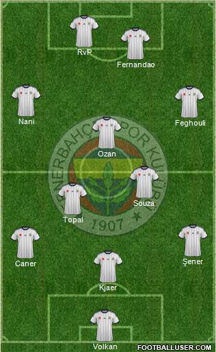 Fenerbahçe SK Formation 2015