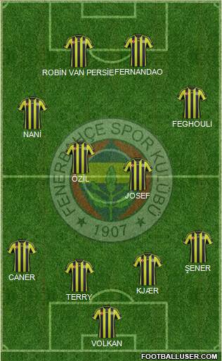 Fenerbahçe SK Formation 2015