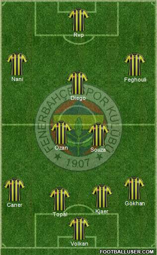 Fenerbahçe SK Formation 2015