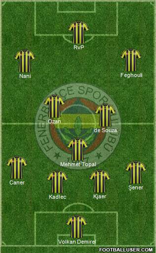 Fenerbahçe SK Formation 2015