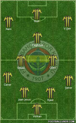 Fenerbahçe SK Formation 2015