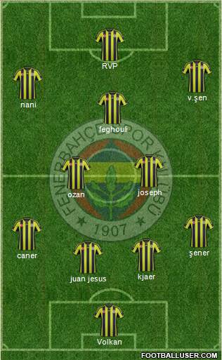 Fenerbahçe SK Formation 2015