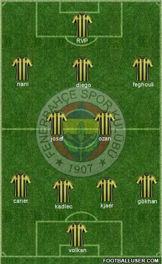Fenerbahçe SK Formation 2015