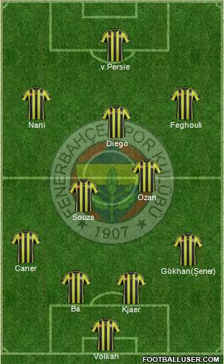 Fenerbahçe SK Formation 2015