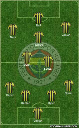 Fenerbahçe SK Formation 2015