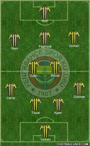 Fenerbahçe SK Formation 2015