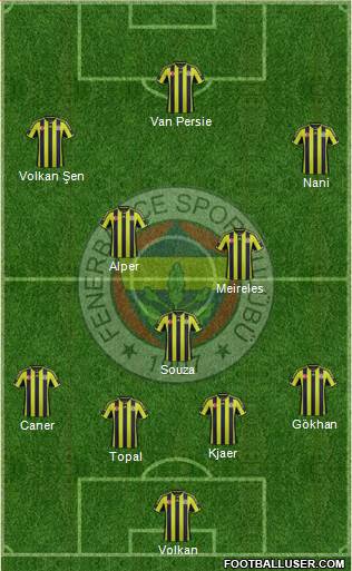 Fenerbahçe SK Formation 2015
