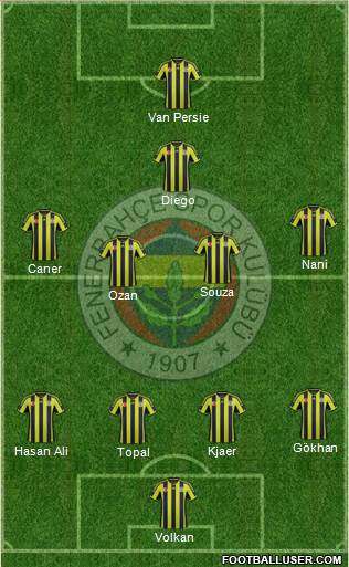 Fenerbahçe SK Formation 2015
