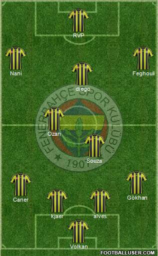 Fenerbahçe SK Formation 2015