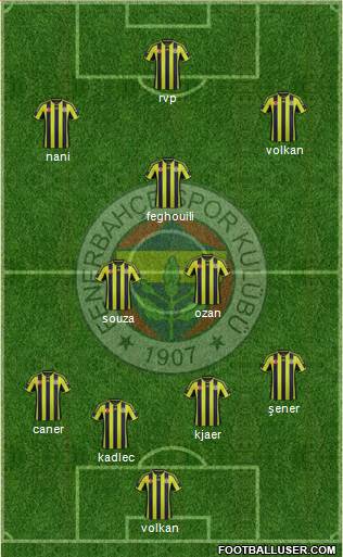 Fenerbahçe SK Formation 2015