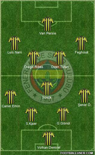 Fenerbahçe SK Formation 2015