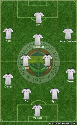 Fenerbahçe SK Formation 2015