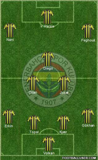 Fenerbahçe SK Formation 2015