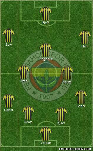 Fenerbahçe SK Formation 2015