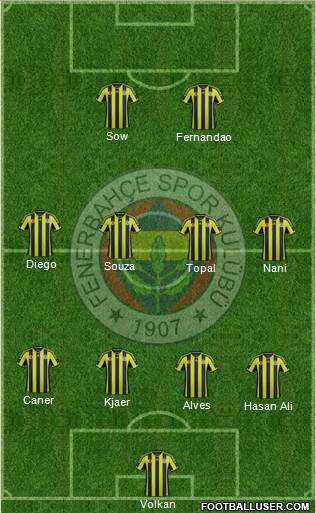 Fenerbahçe SK Formation 2015