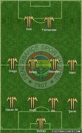 Fenerbahçe SK Formation 2015