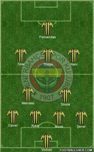 Fenerbahçe SK Formation 2015