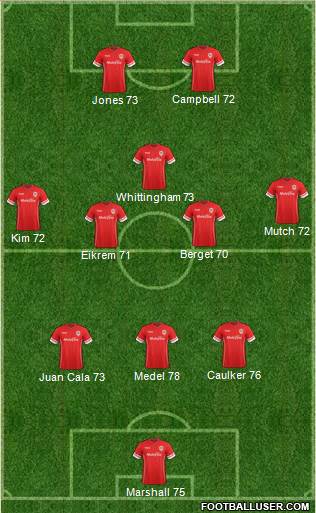 Cardiff City Formation 2015