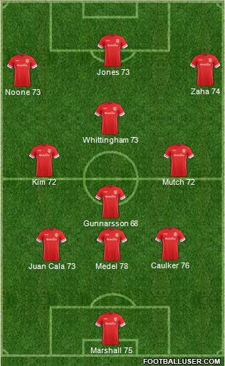 Cardiff City Formation 2015