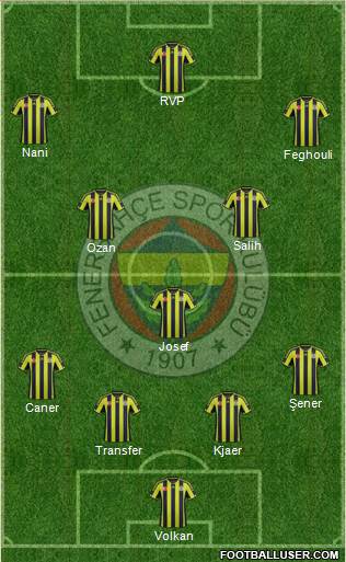 Fenerbahçe SK Formation 2015