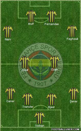 Fenerbahçe SK Formation 2015