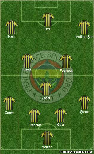 Fenerbahçe SK Formation 2015